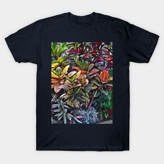 Croton in Greenhouse T-Shirt by SusanSavad